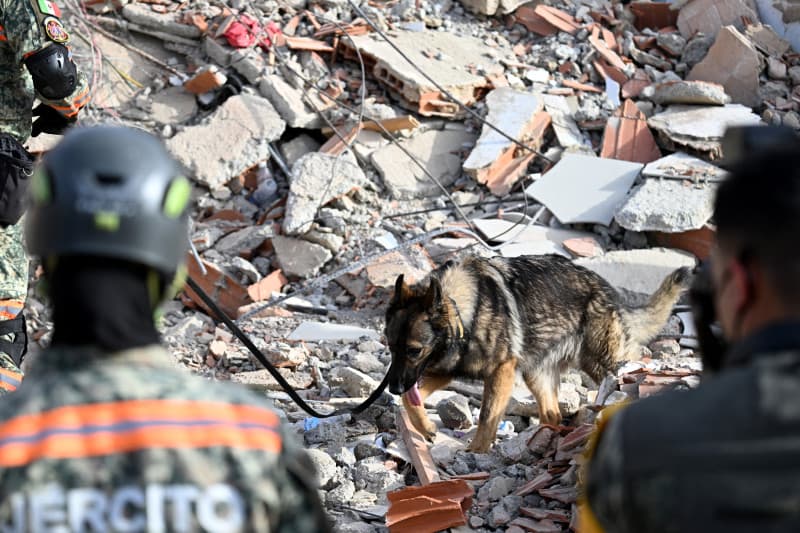 Terremotos en Venezuela dejan más de 2,200 fallecidos y millonarias pérdidas