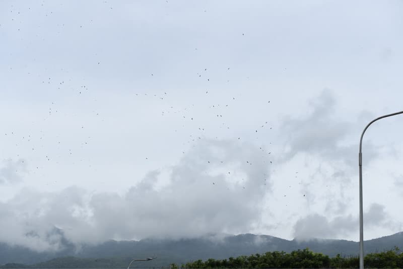 Buitres sobrevuelan La Guaira mientras continúa la búsqueda de víctimas tras los terremotos en Venezuela