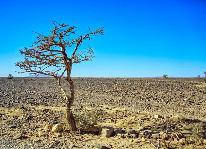OMM llama a prepararse ante un fuerte fenómeno de El Niño previsto para los próximos meses